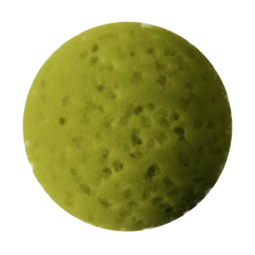 Sponge