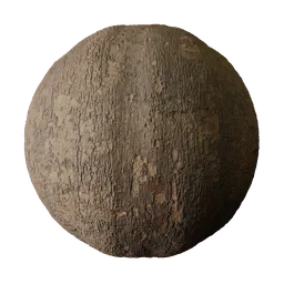 Rough Brown Ashoka Bark