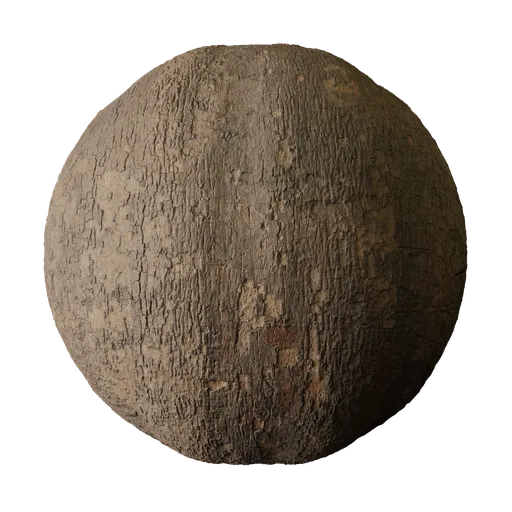 Rough Brown Ashoka Bark