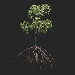 Mangrove Plant + Geometry Nodes + animation