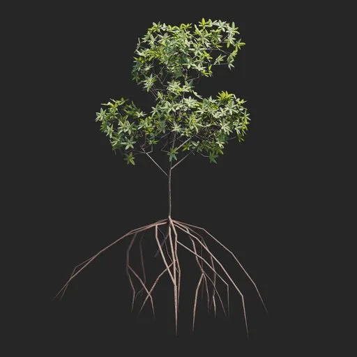 Mangrove Plant + Geometry Nodes + animation
