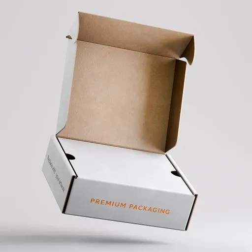 Rigged Tuck Top Mailer Packaging Box