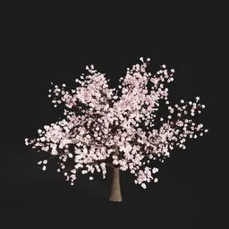 Sakura Tree