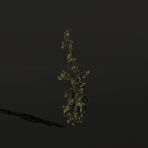 BlenderKit Download the Creepers Vine c4 model