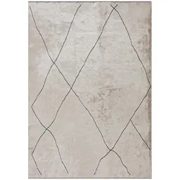 Bohemian Gray Carpet