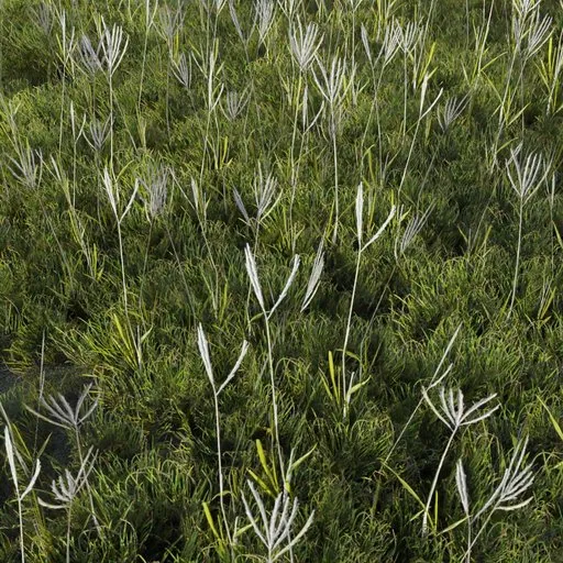 Detailed 3D grass model, optimized for game environments, showcasing realistic textures suitable for Blender scenes.
