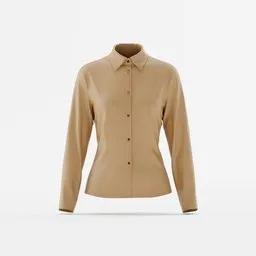 Women Formal Shirt Design