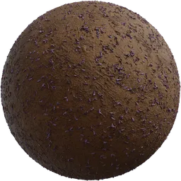 Flower Scattered Dirt