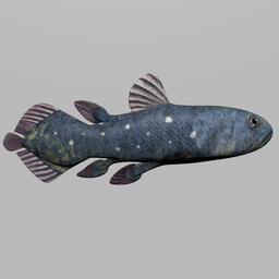 Low Polly Coelacant Fish