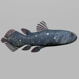 "Low Polly Coelacanth Fish, a stunning 3D model for Blender 3D. This fish boasts an impressive cobalt coloration and a sauroform hybrid design inspired by René Auberjonois. Perfect for Augmented and Virtual Reality experiences, this highly textured model is ready for your creative projects."