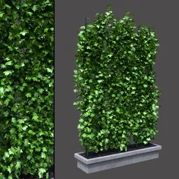 Decorative Ivy Wall