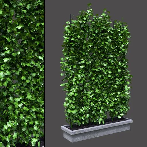 Decorative Ivy Wall