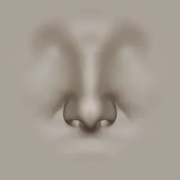 Detailed 3D sculpting tool imprint of a human nose for Blender modeling, high-res VDM stamp.