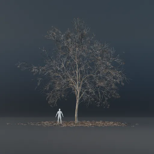 Oak Tree - Thin Trunk (Winter)