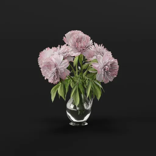 Soft Pink Peony