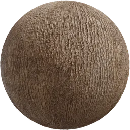 Japanese Camphor Bark