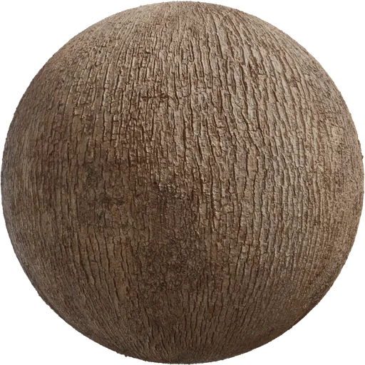 Japanese Camphor Bark