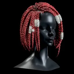 Braided Hair