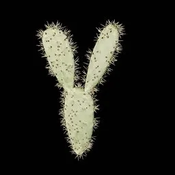 Realistic Cactus