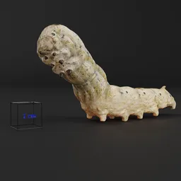 Highly detailed Blender 3D model of a rigged Bombyx mori silk moth caterpillar.