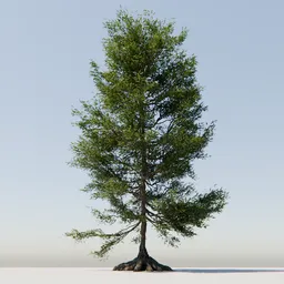 Detailed 3D tree model with visible roots for Blender graphic design.
