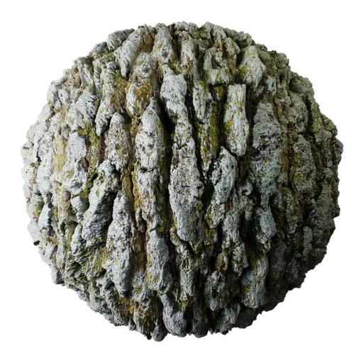 High-resolution 2K PBR tree bark material for realistic texturing in 3D Blender models.