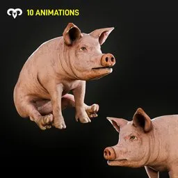 Baby Pig Animated