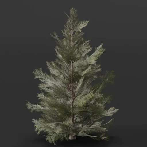 Realistic 3D model of a large pine bush for Blender, ideal for game environments and virtual landscapes.