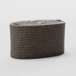 Woven Storage Trunk