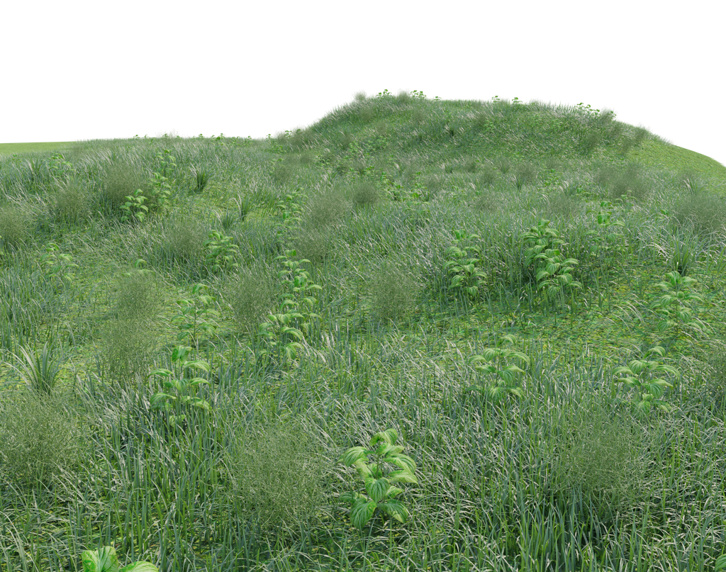 Grass | 3D Grass models | BlenderKit