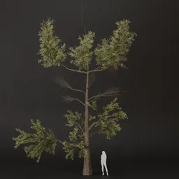 SJ-Nature Touch Pine Tree