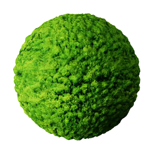 Soft Moss Green