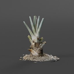 "Lowpoly 3D model of a tree stem scanned with high detail, perfect for Blender 3D projects. The model features a small plant sprouting from the ground, surrounded by cacti and a palm tree inspired by Gao Qipei. Marmoset toolbag render adds a lifelike touch to this procedural creation."