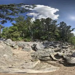 Mountain Tree Green BlueShine