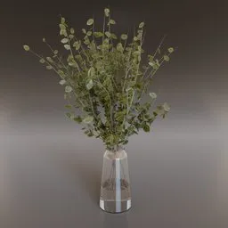 Indoor Plant in a Vase
