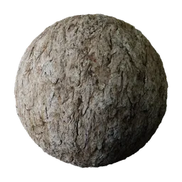 High-resolution tree bark texture for 3D modeling, showing detailed wooden surface with PBR rendering compatibility.