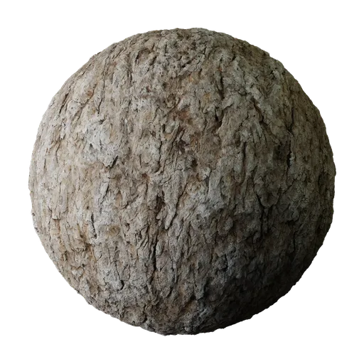 High-resolution tree bark texture for 3D modeling, showing detailed wooden surface with PBR rendering compatibility.