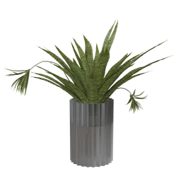 3D model of a realistic indoor plant with ultra-optimized polygons for Blender.