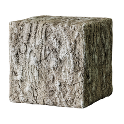 Tree Bark 02