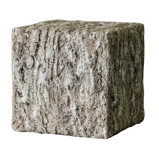 Tree Bark 02