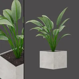 Concrete Leaf Planter
