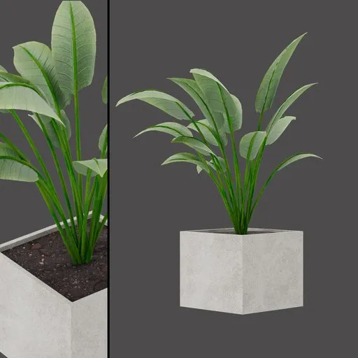 Concrete Leaf Planter