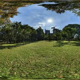 Winter daytime meadow 30k