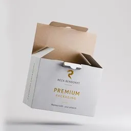 Rigged Carry Handle Mailer Box