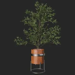 Plant