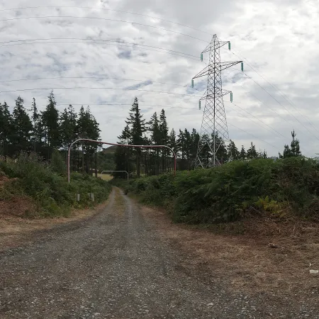Barnaslingan