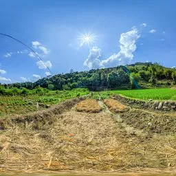 Dry land on a sunny afternoon