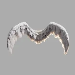 Angel Wings