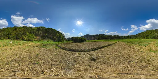 Daytime hay