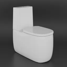 Highly detailed Blender 3D model of a modern rimless toilet with customizable shaders.